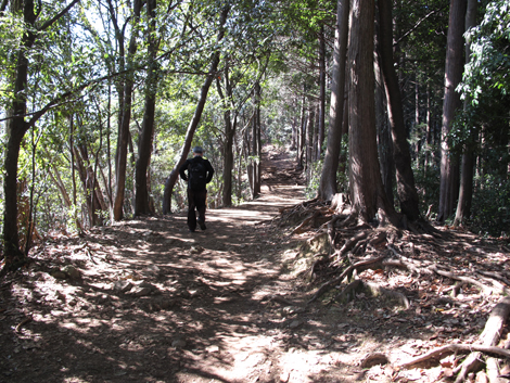 20160226hike (32)